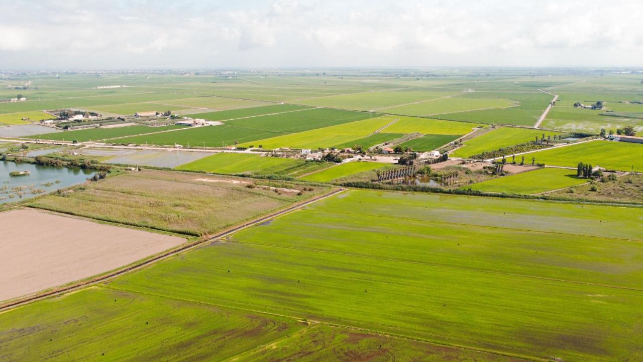 Calito Del Delta Apartamento L'Eucaliptus Exterior foto